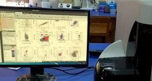 κυτταρομετρία ροής, ανοσοφαινότυπος