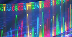 dna sequence gene