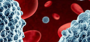 ΧΛΛ, Acalabrutinib, venetoclax