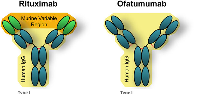 rituximab αντισώματα λεμφώματα