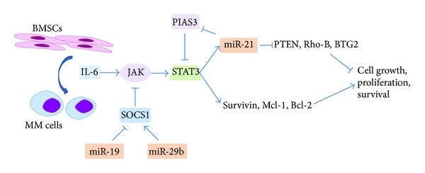 μυέλωμα αναιμία